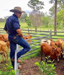 Cowboys 5f91f179ae4d7.jpg