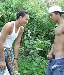 Twinks in our garden 5f9497152b2f0.jpg