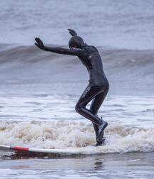Surfers and divers 5f9f313f5d897.jpg