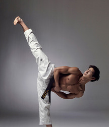Karate and Kick-boxers 5f9f4ca80d387.jpg