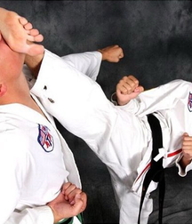 Fighters 5fa1927684dca.jpg