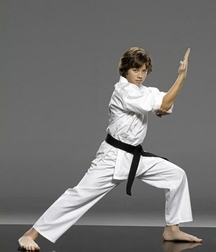Fighters 5fa192814ceb7.jpg