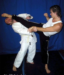 Fighters 5fa1929529a03.jpg