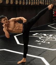 Fighters 5fa192aa6a783.jpg