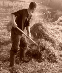 Farmboys work hard 5fa6c4766983d.jpg