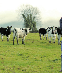 Farmboys work hard 5fa6c47e8f0cc.jpg