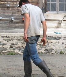 Farmboys work hard 5fa6c487a9017.jpg
