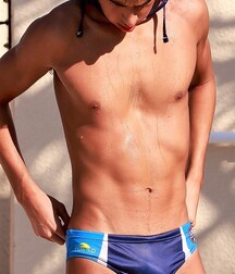Beach boys 5fa7319aee437.jpg