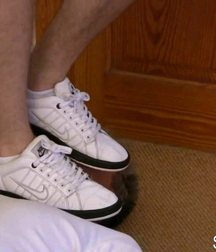 Trampling 5fad62197011e.jpg