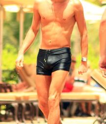 Hot Bulges 5fb308ad06bb6.jpg