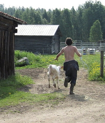Country boy hotties 5fb44ea559cae.jpg