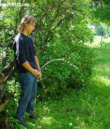 Boys taking a leak 5fb6f768c9827.jpg