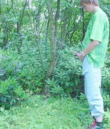 Boys taking a leak 5fb6f78b47035.jpg