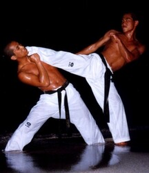 Karate and Footfighters 5fbaf61c71325.jpg