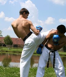 Karate and Footfighters 5fbaf61eeb101.jpg