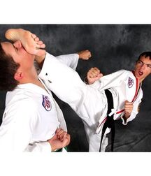 Karate and Footfighters 5fbaf6283971c.jpg