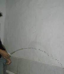 Boys go for a pee 5fbecf6916aa6.jpg