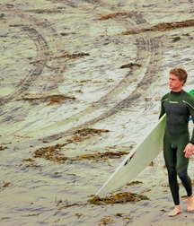 Surfer hotties 5fd7a6cd93cec.jpg