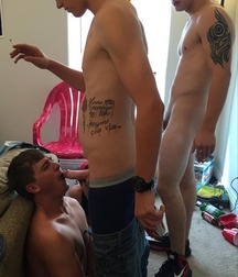 Sexy twink angels 5fd904123ba2a.jpg