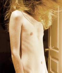 Gorgeous longhair hotties 5fd955265ef57.jpg