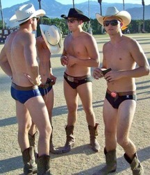 Cowboy boots 5fdd3cfa6ae2e.jpg