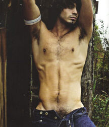 Longhair hotties 2 5fe903ae3f8db.jpg