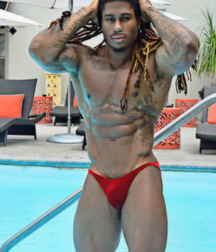 Longhair hotties 2 5fe903ca586ae.jpg