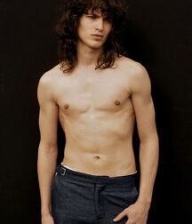 Longhair hotties 2 5fe903cc6ccda.jpg