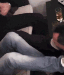 Alpha males ruling 600d62c1c37af.gif