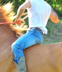 Farm and country boys 60217d317567b.jpg