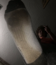 Alphas show feet 602d52cf8e8dd.jpg