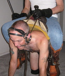 Ponies and riders 602e99af242a2.jpg