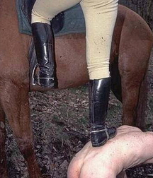 Ponies and riders 602e99e77cc58.jpg