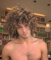 Beauty and power of longhairs 606763d2144ca.jpg