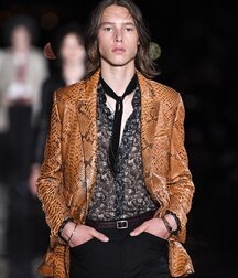 Longhair beauty 607187ffc69c3.jpg
