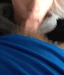 Loads (of Gif's) 5c726983a9cf6.gif