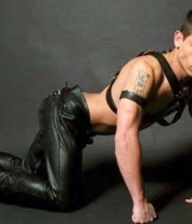 Leathers and some others - 2 5c91e8ffccd14.jpg