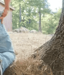 Hot Boys Mixed (nsfw) 3 5c9b26dcb0e81.gif