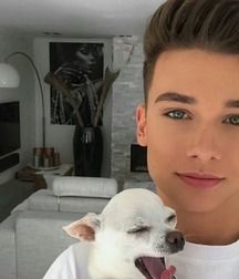 Great Mix of Pics (2) 5d0fc6b7bf3ab.jpg