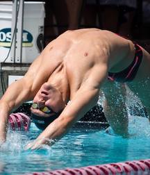 My Favorite Swimming Team 5cd9b501ba6ac.jpg
