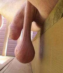 dicks_190427 5ce1685e2dbda.jpg
