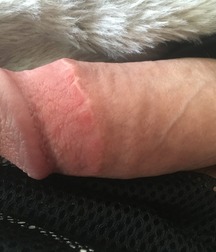 dicks_190427 5ce168659daa5.jpg