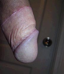 dicks_191028 5dd44c3c17b6c.jpg