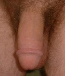 dicks_191028 5dd44c3cbf59e.jpg
