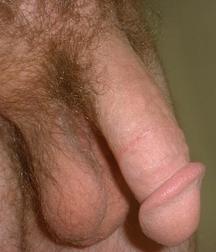 dicks_191028 5dd44c3e034f4.jpg