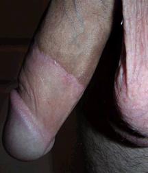 dicks_191028 5dd44c572e686.jpg