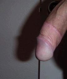 dicks_191028 5dd44c59e3904.jpg