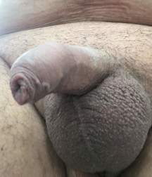dicks_190821 5dd44e55bc838.jpg