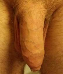 dicks_190821 5dd44e61e8400.jpg