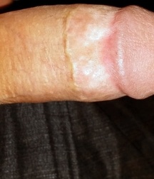 dicks_190821 5dd44e6d6ef21.jpg